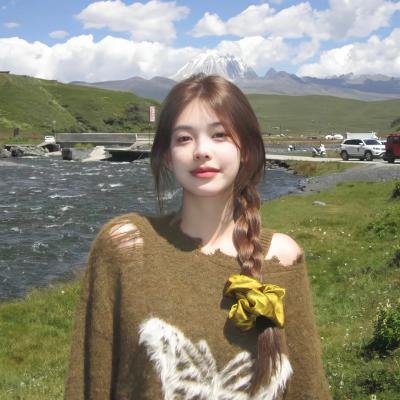 巴黎颂纽约情 海报